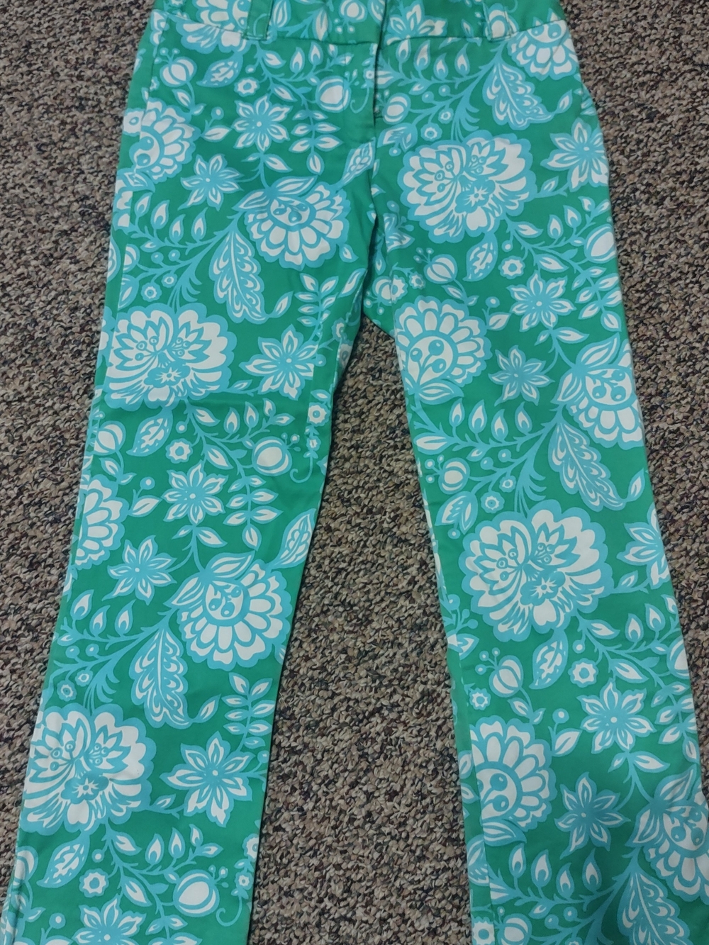 J Crew Green/Blue City Fit Pants Size 2